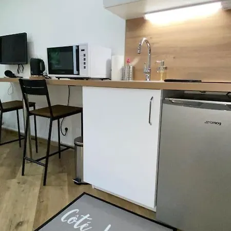 Apartment Ile-verte Entierement Renove - Proche Tram *