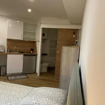 Ile-verte Entierement Renove - Proche Tram