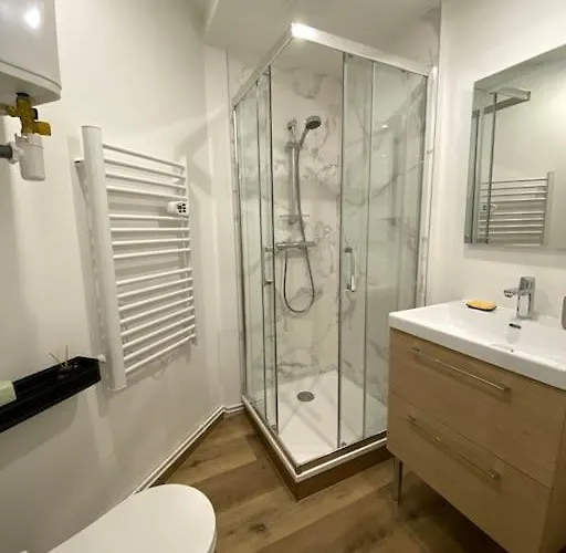 Ile-verte Entierement Renove - Proche Tram * גרנובל